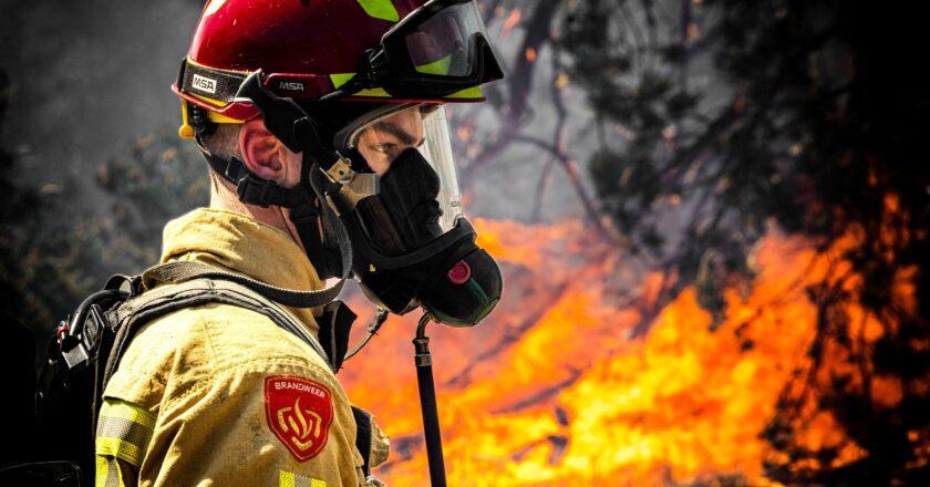 Low-Risk Jobs: Firefighters, Pilots, and Gardeners Less Likely to be Replaced by AI