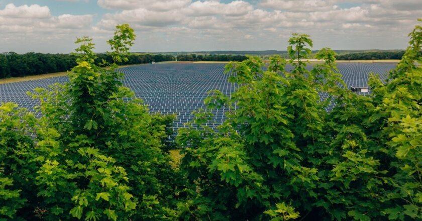 Announcement of Development Consent for Beacon Fen Energy Park