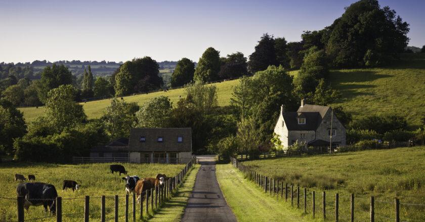 Livestock Keepers Advised to Stay Vigilant and Vaccinate Amidst Rising Bluetongue Cases