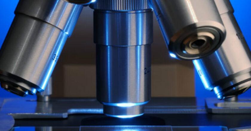 Exciting Career Opportunities: Seeking Scientific Experts for Prestigious Positions