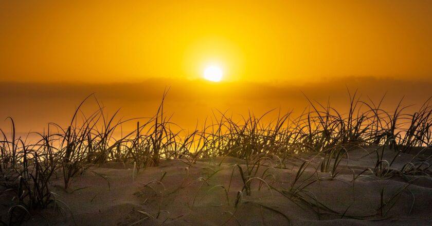 Record Heatwave Hits 38.1°C as Rain Approaches Southern Regions