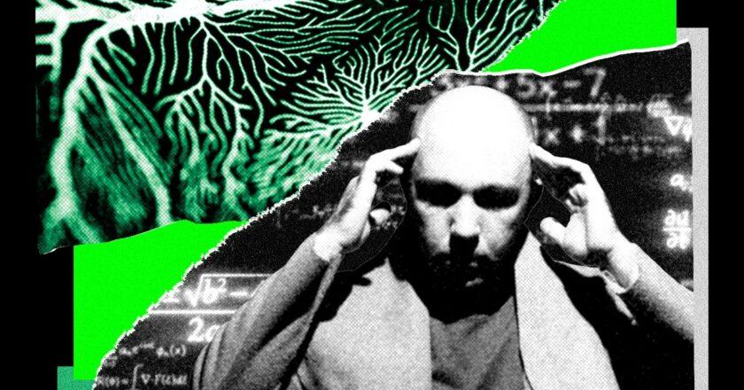 Russian Mathematicians Teach AI Models to Communicate Silently