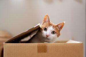 Is It Even Possible to Grasp Quantum Mechanics?