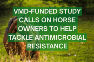 Study Funded by VMD Urges Horse Owners to Combat Antimicrobial Resistance