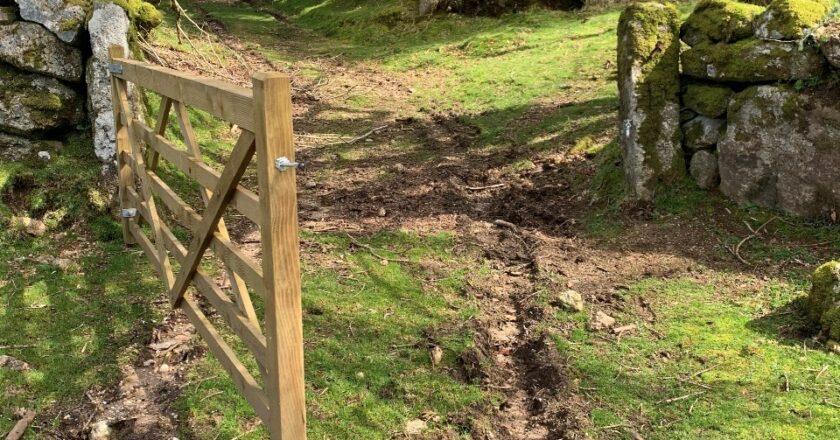 Transforming Burrator Forest: The Impact of Integrated Management on Conservation from Fleece to Fencing